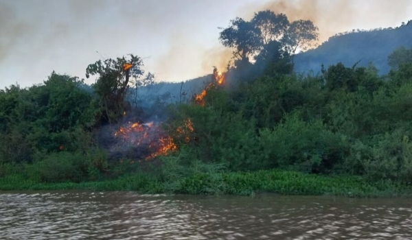 Fogo já queimou mais de 170 mil hectares em 60 dias no Pantanal