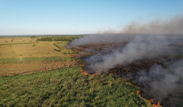 Bombeiros de MS atuam no combate a dois incêndios florestais, no Pantanal e em Naviraí